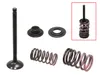 Psychic Steel Exhaust Valve Kit