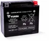 H-P Factory Activated AGM Maintenance Free Battery YTX20L