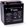 Yuasa Battery YIX High Performance AGM Maintenance-Free Battery