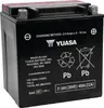 Yuasa Battery YIX High Performance AGM Maintenance-Free Battery