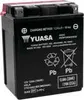 Yuasa Battery YTX High Performance AGM Maintenance-Free Battery
