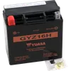 Yuasa Factory Activated Maintenance Free Battery GYZ16H