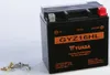 Yuasa Battery GYZ Factory-Activated AGM Maintenance-Free Battery
