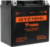 Yuasa Battery GYZ Factory-Activated AGM Maintenance-Free Battery