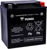 Yuasa Battery YIX AGM Maintenance-Free Battery