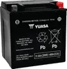 Yuasa Battery YIX AGM Maintenance-Free Battery