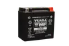 Factory Activated AGM Maintenance Free Battery YTX14L