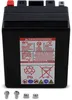 Factory Activated AGM Maintenance Free Battery YTX14L