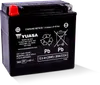 Factory Activated AGM Maintenance Free Battery YTX14