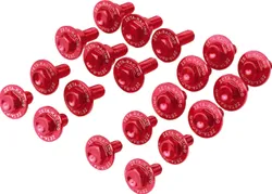 Zeta Body Plastic Bolt Kit Red Anodized Aluminum